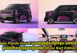 Geely Panda mini-EV រថយន្តអគ្គិសនីខ្នាតតូចច្រឡឹងបានបន្ថែមម៉ូដែលពិសេសថ្មីមួយទៀតឈ្មោះថា Go Kart Edition